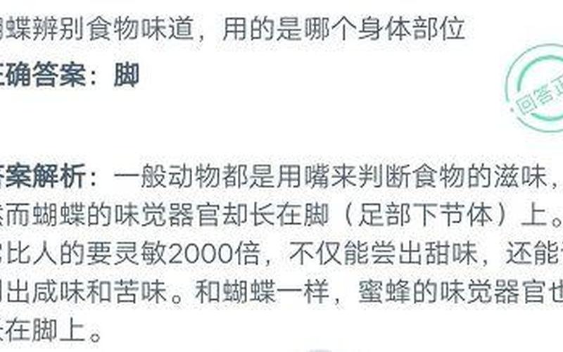 蝴蝶辨别食物味道用身体哪个部位-第1张图片-波音达百科
