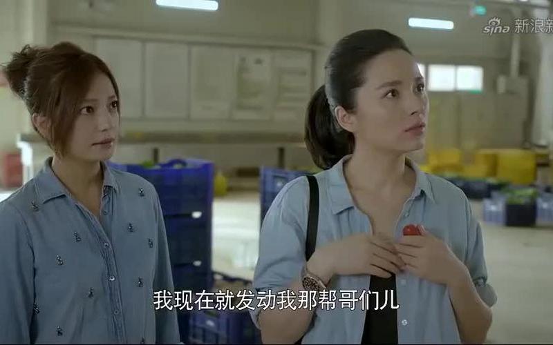 虎妈猫爸唐琳结局-第1张图片-波音达百科