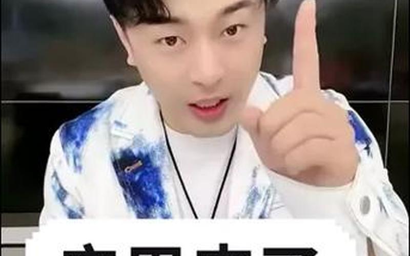 辛巴个人简历资料-第1张图片-波音达百科