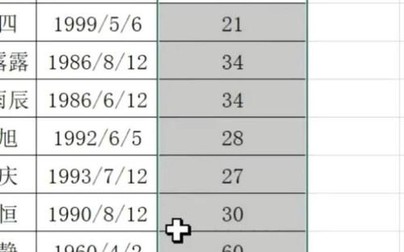 百度年龄计算器在线计算-第1张图片-波音达百科