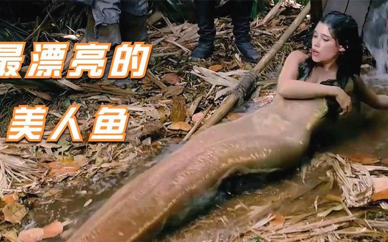 美人鱼最怕遇到谁-第1张图片-波音达手游百科