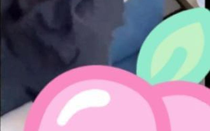 张津瑜卫生间6分35秒-第1张图片-波音达百科