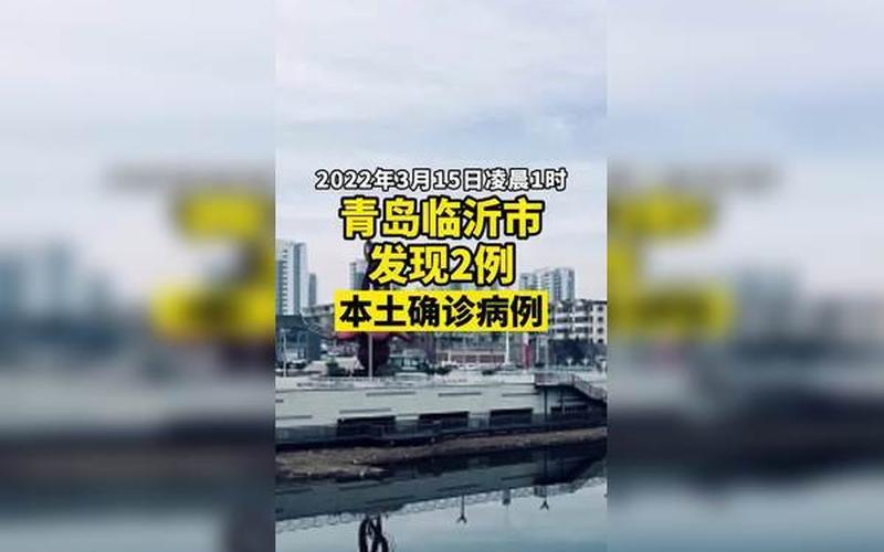 山东临沂疫情最新消息-第1张图片-波音达百科