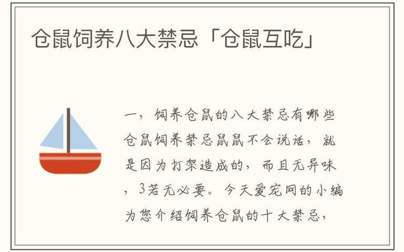 仓鼠饲养八大禁忌-第1张图片-波音达百科