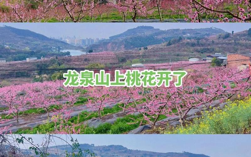 平明别我上山去下一句-第1张图片-波音达百科