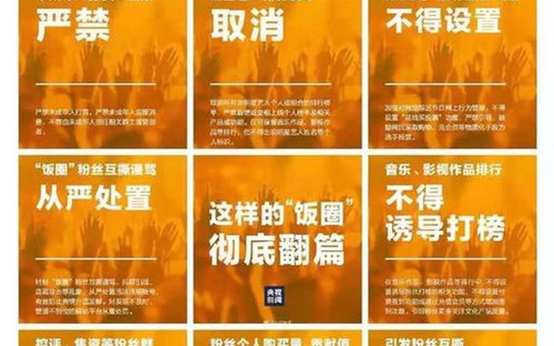 饭圈乱象什么意思-第1张图片-波音达百科