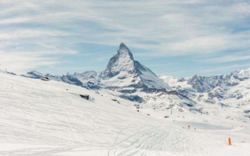 萝卜喝醉了会变成什么-第1张图片-波音达百科