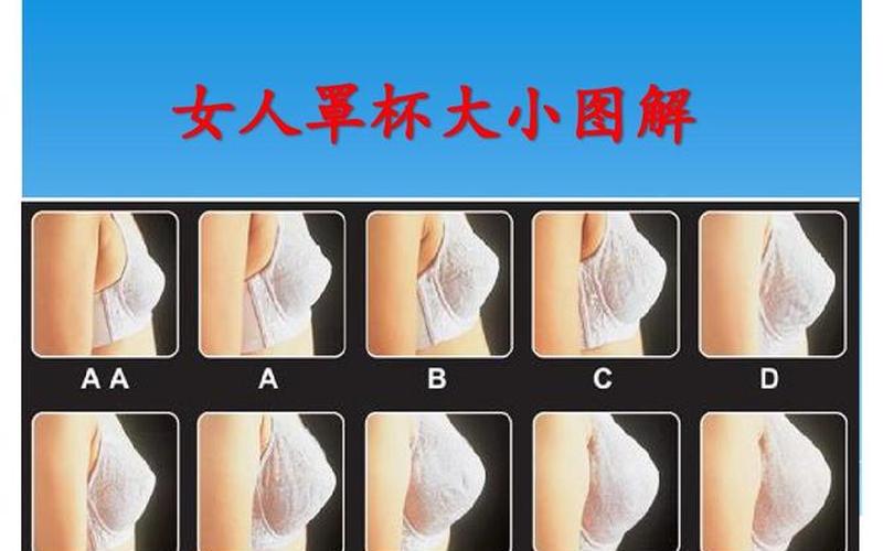 胸罩罩杯大小示意图-第1张图片-波音达百科