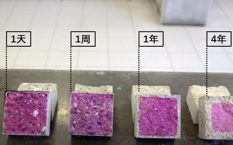 蓝月亮王中王免费精选资料大全-第1张图片-波音达百科