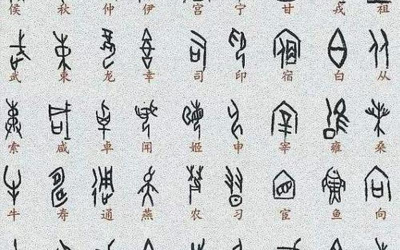 甲骨文写在什么上面-第1张图片-波音达百科