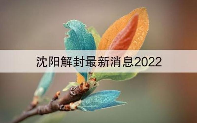 沈阳解封最新消息2022-第1张图片-波音达百科