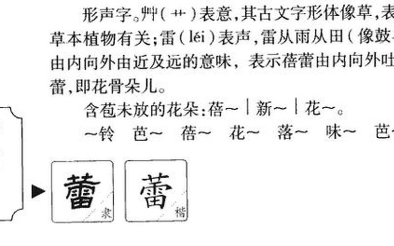 蕾的拼音和组词语-第1张图片-波音达百科