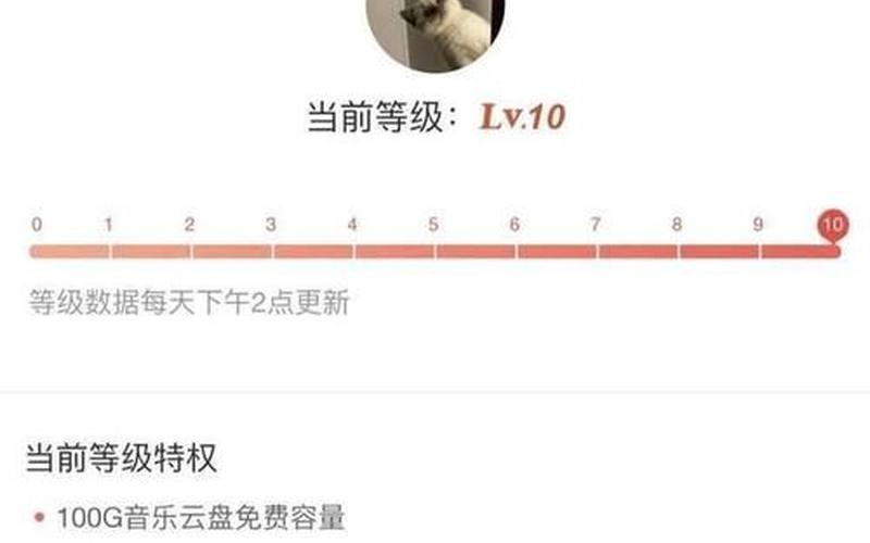 网易云八级是什么意思-第1张图片-波音达百科