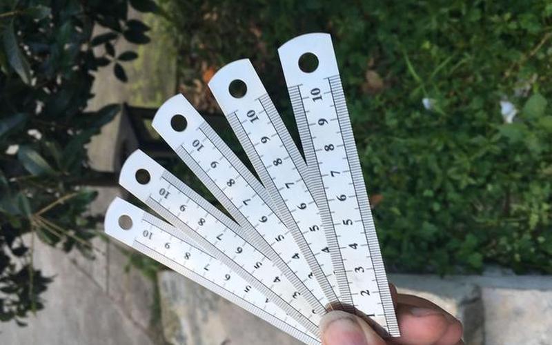 10厘米尺子标准图-第1张图片-波音达百科