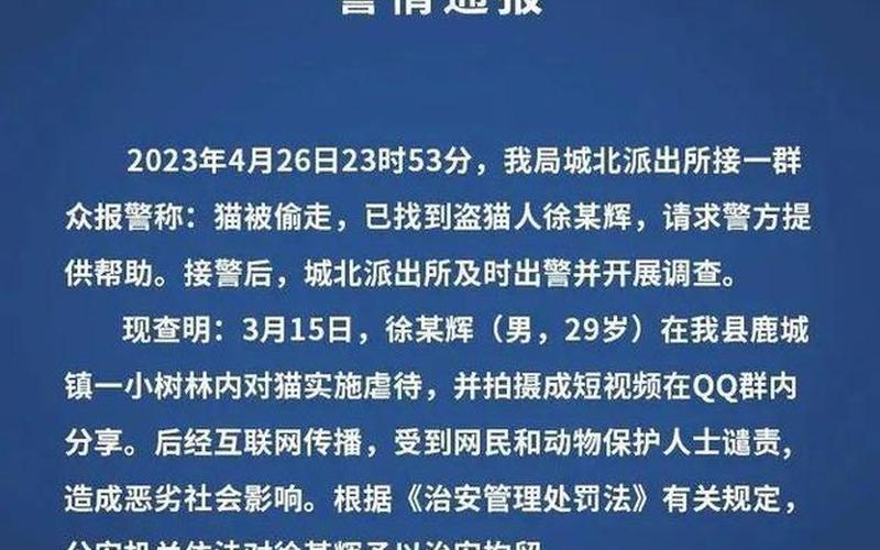 晚上偷正能量网站-第1张图片-波音达百科