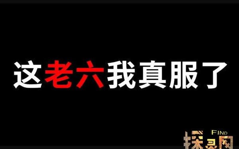  *** 语言老六是什么意思-第1张图片-波音达百科