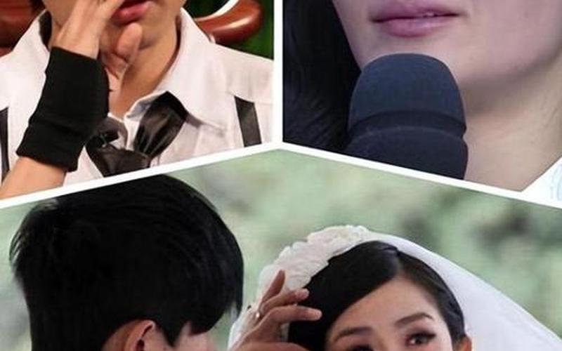 张杰谢娜什么时候离的婚是真的吗-第1张图片-波音达百科