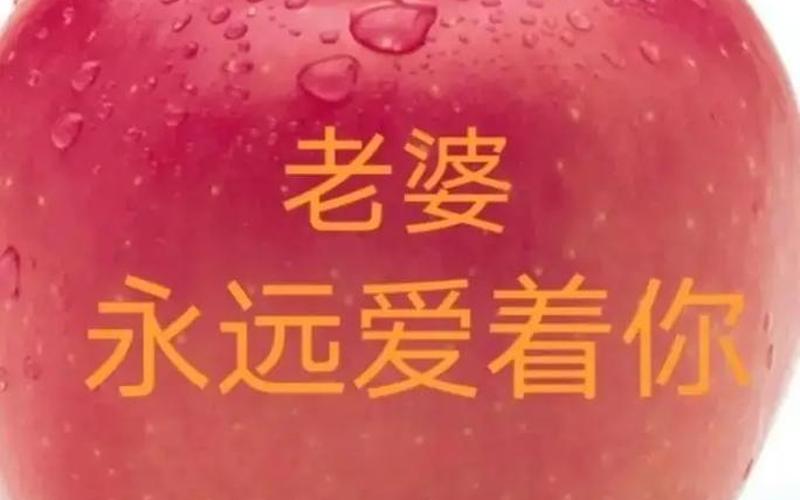 我爱的人和爱我的人-第1张图片-波音达百科