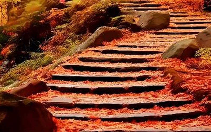 枫叶千枝复万枝 江桥掩映暮帆迟-第1张图片-波音达百科