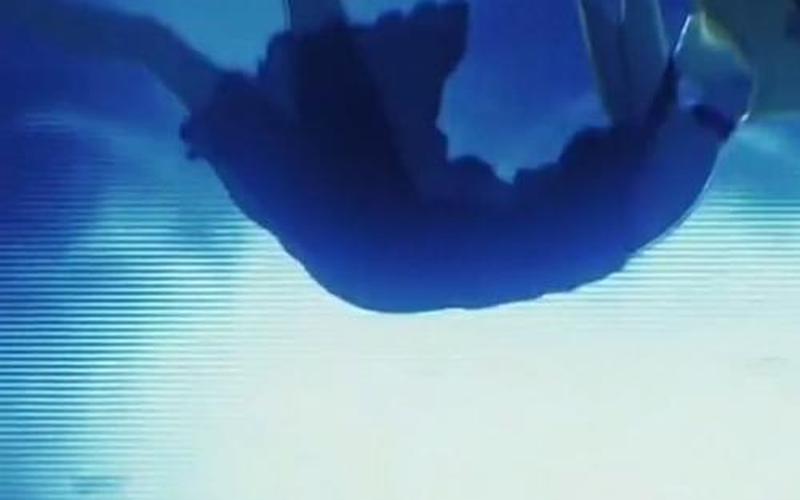 你是我触碰不到的风醒不来的梦是什么歌-第1张图片-波音达百科