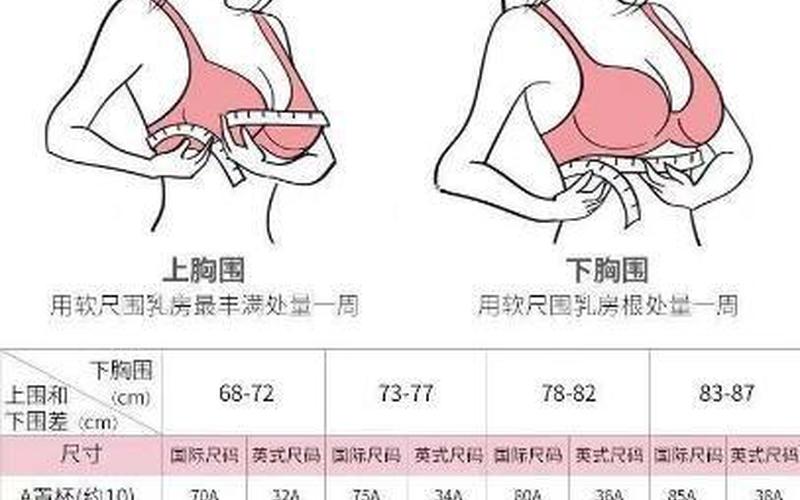 罩杯abcd怎么计算-第1张图片-波音达手游百科