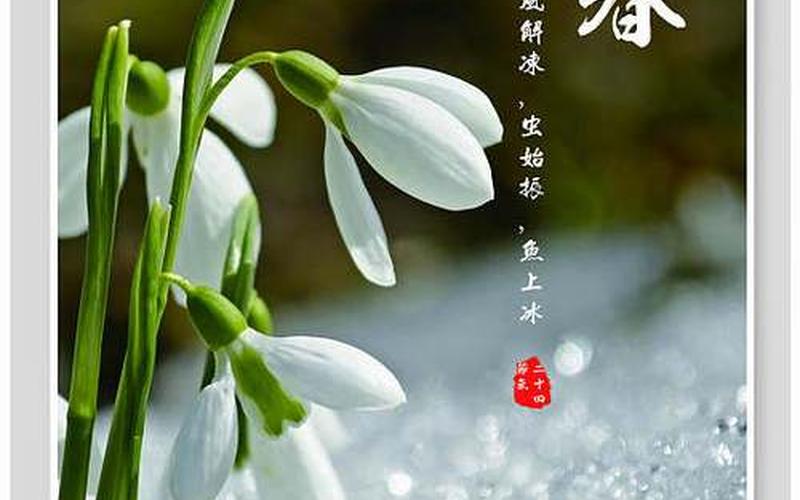 今年什么时候打春2020-第1张图片-波音达百科