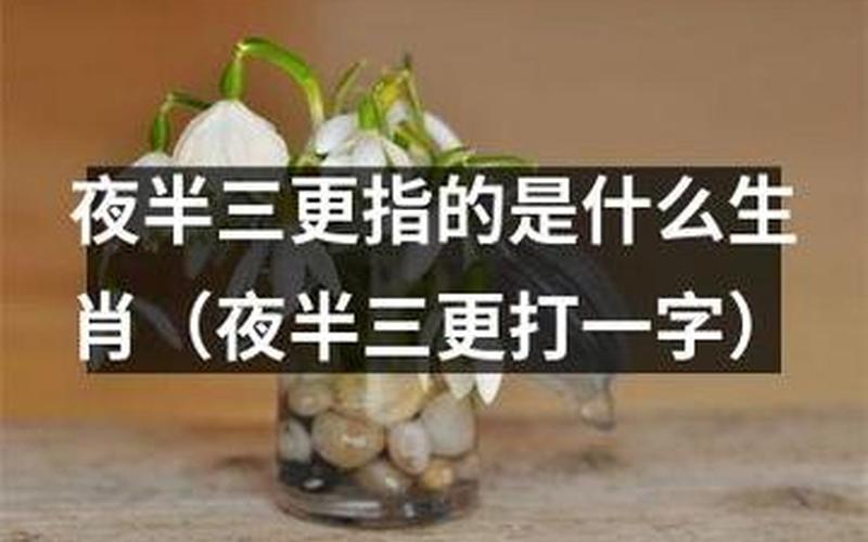 夜半三更指的是什么生肖-第1张图片-波音达手游百科