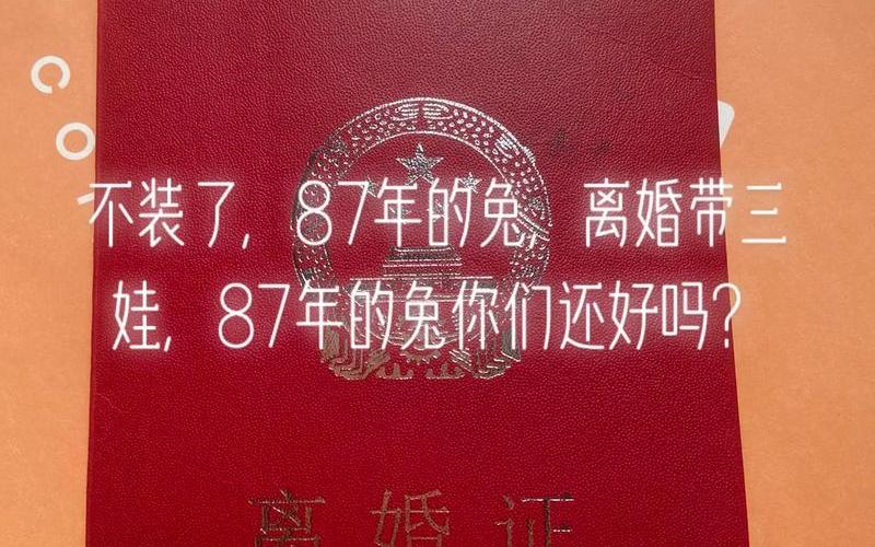 离婚以后我天天被各种人睡-第1张图片-波音达百科