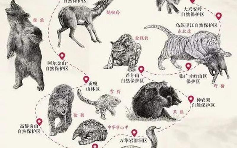 九死一生什么生肖-第1张图片-波音达手游百科