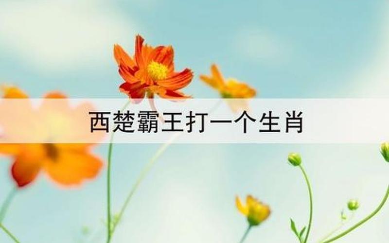 西楚霸王准打一生肖-第1张图片-波音达百科