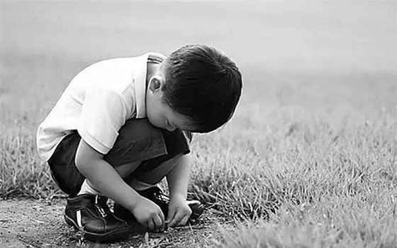 闷闷不乐的近义词-第1张图片-波音达百科