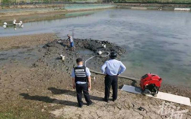 嘉兴上空掉不明物体-第1张图片-波音达百科