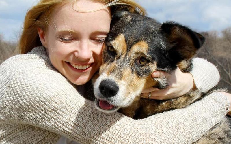 汪星人是什么意思-第1张图片-波音达百科