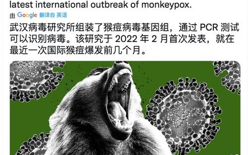 拜登首次就猴痘病例表态-第1张图片-波音达百科