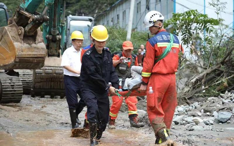 雅安泥石流10人失联-第1张图片-波音达百科