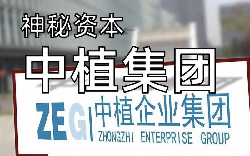 中植系背后的靠山是李什么-第1张图片-波音达百科