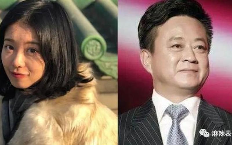 弦子朱军案来龙去脉-第1张图片-波音达百科