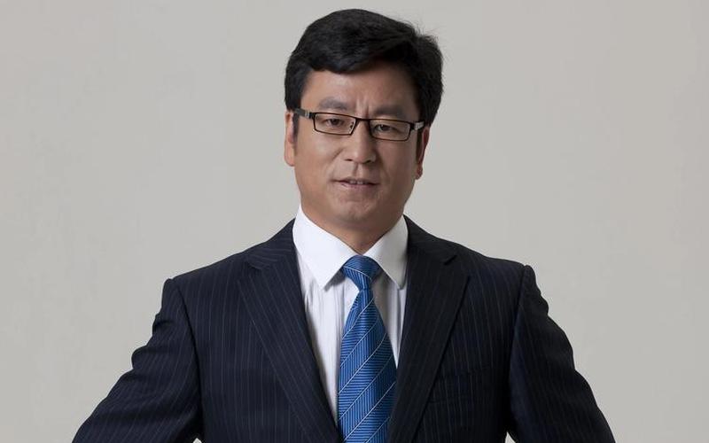 白岩松的个人资料简介-第1张图片-波音达百科