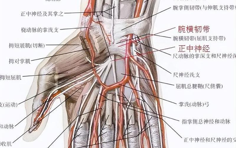 如何一根手指就让人起不来-第1张图片-波音达百科