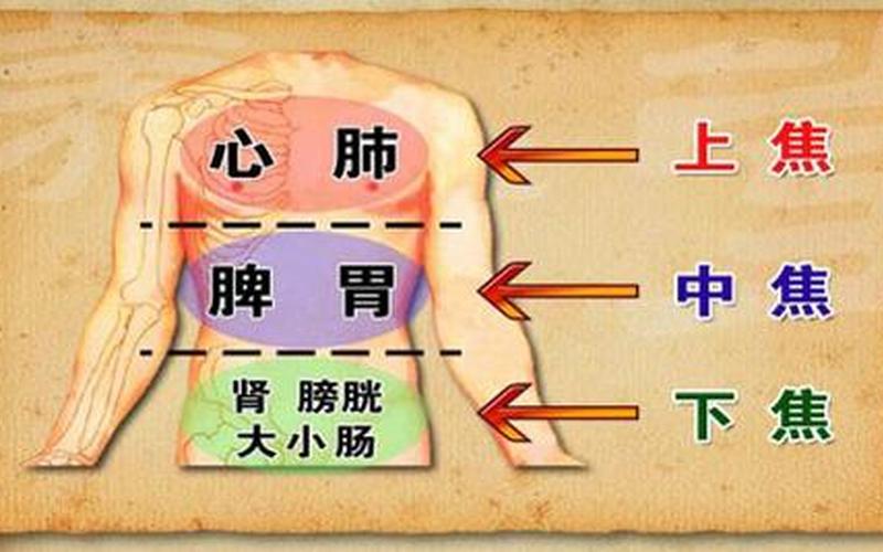 三交是身体哪个部位-第1张图片-波音达手游百科