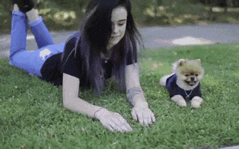 一进一出抽搐gif免费60秒-第1张图片-波音达百科