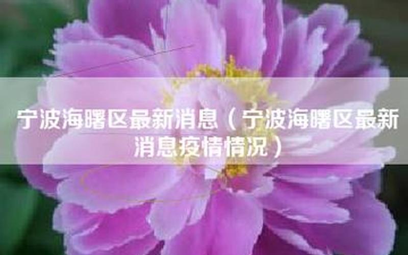 浙江宁波疫情最新情况-第1张图片-波音达百科