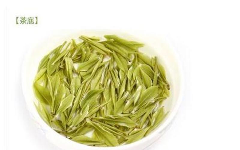 黄浦江源安吉白茶-第1张图片-波音达百科
