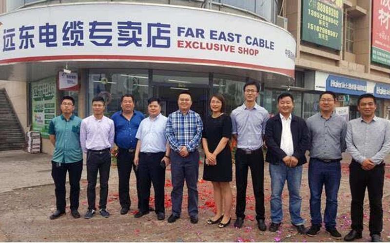 远东控股集团-与台湾远东集团无关联-第1张图片-波音达手游百科