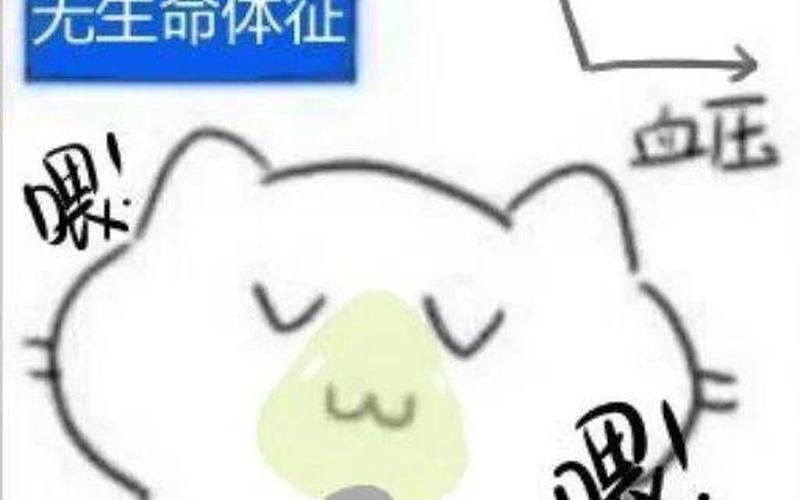 无生命体征与死亡的区别-第1张图片-波音达百科
