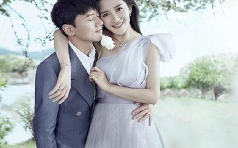 张杰和谢娜离婚了-第1张图片-波音达百科