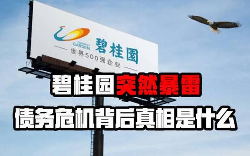 2023碧桂园爆雷了-第1张图片-波音达百科