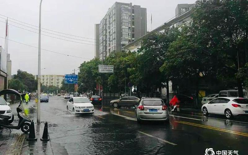 成都下了今年首场区域性暴雨-第1张图片-波音达百科