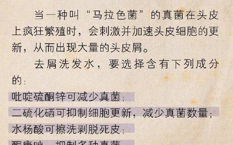如何把自己的水变多-第1张图片-波音达手游百科
