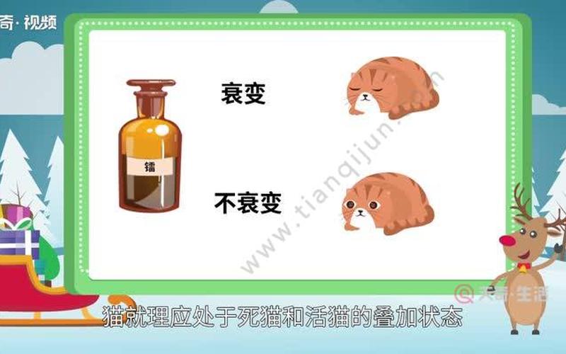 薛定谔的猫什么意思-第1张图片-波音达百科